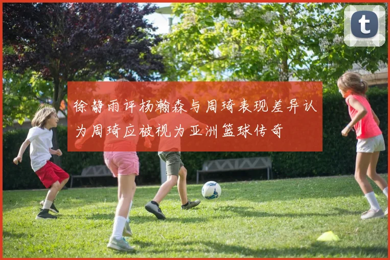 徐静雨评杨瀚森与周琦表现差异认为周琦应被视为亚洲篮球传奇