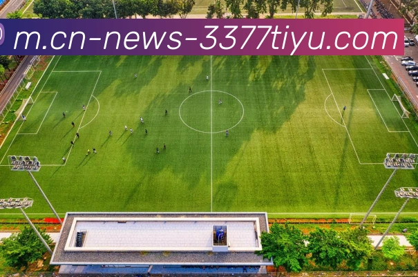 3377体育平台生态图